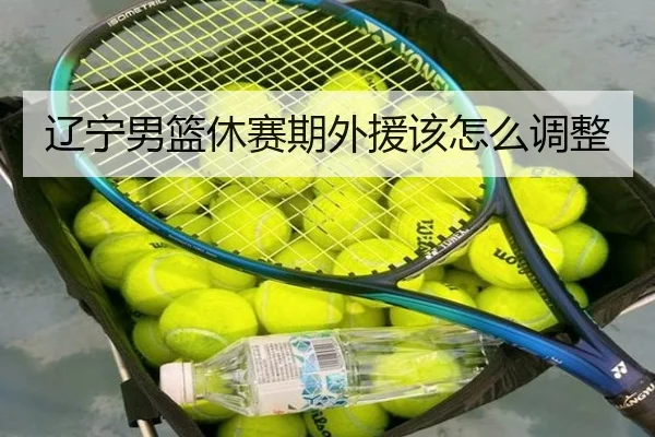 辽宁男篮休赛期外援该怎么调整