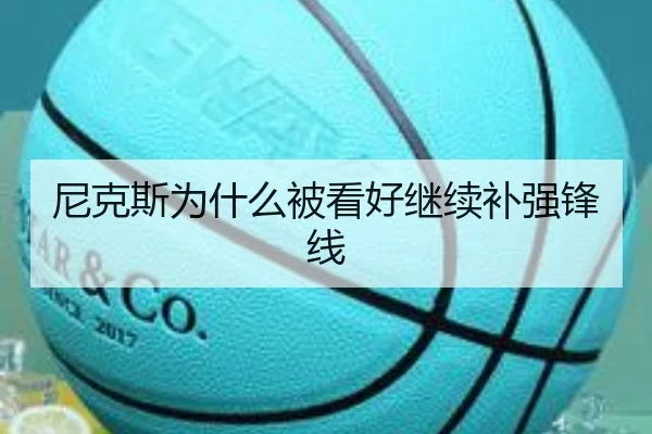 尼克斯为什么被看好继续补强锋线